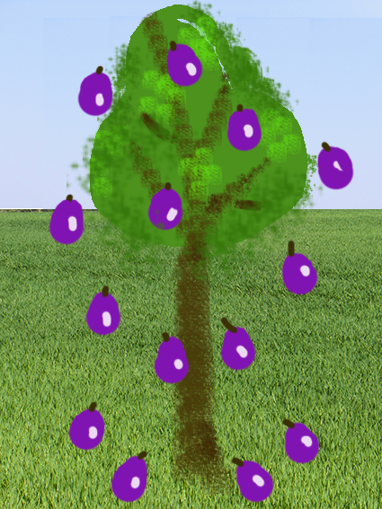 Pflaumenbaum-ohne-Text